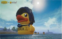 和平精英小黄鸭空投箱刷新位置 小黄鸭空投箱物资介绍 和平精英小黄鸭空投箱刷新位置 小黄鸭空投箱物资介绍