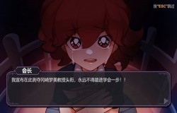 ValkyieGame确认参加2024CJGC INDIE GAME展区，展示游戏《东方：月兔狂想曲》