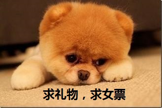 圣诞游戏合集游戏图3